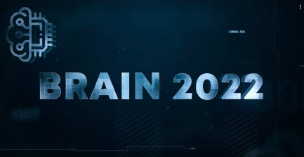 Скриншот проекта: brain2020